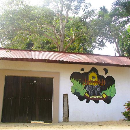 Jumanji Apartment Palomino Ngoại thất bức ảnh