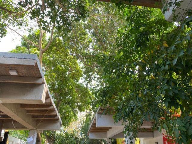 Jumanji Apartment Palomino Ngoại thất bức ảnh