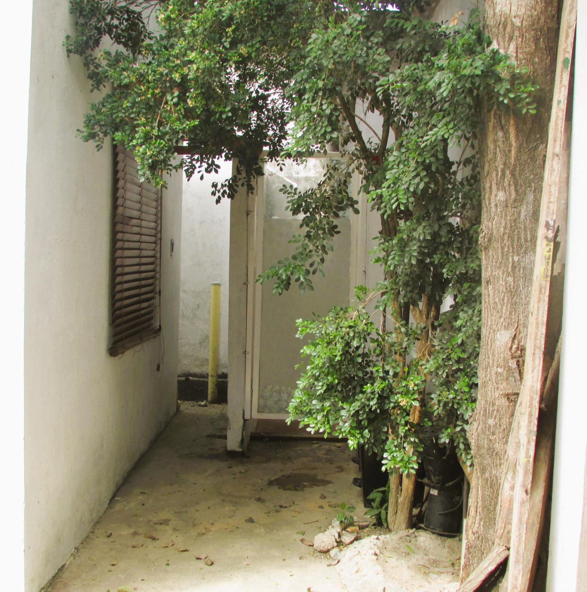 Jumanji Apartment Palomino Ngoại thất bức ảnh