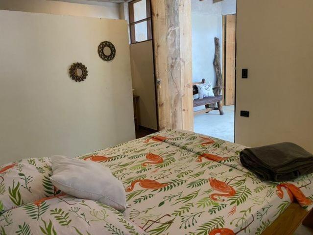 Jumanji Apartment Palomino Ngoại thất bức ảnh